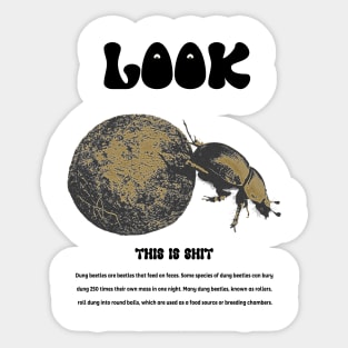 dung beetle Sticker